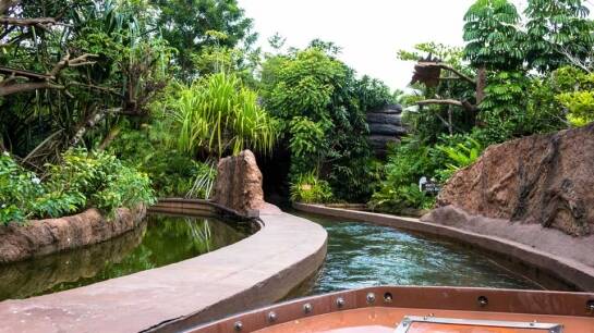 A view from a boat on a guide tour of the Singapore Zoo